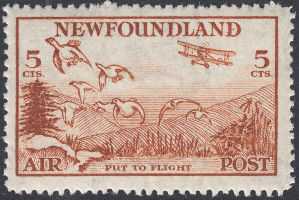 Newfoundland c13