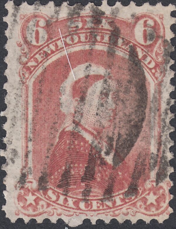 Newfoundland 35