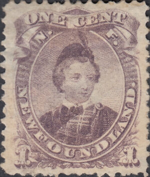 Newfoundland 32