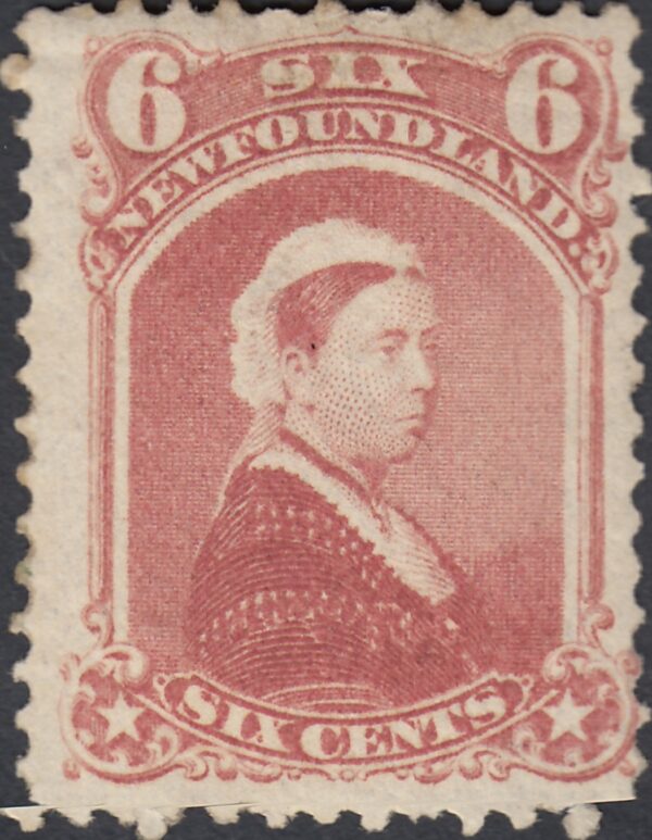 Newfoundland 35