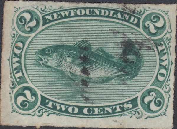 Newfoundland 38