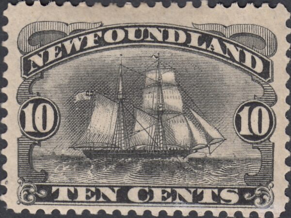 Newfoundland 59